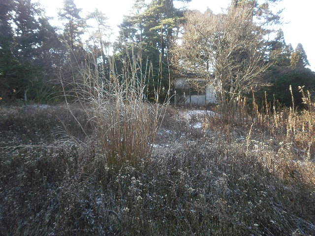 六甲山別荘の庭園管理 Kobe Rokko Club